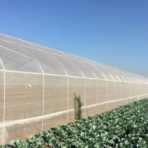 Greenhouse anti-insect net